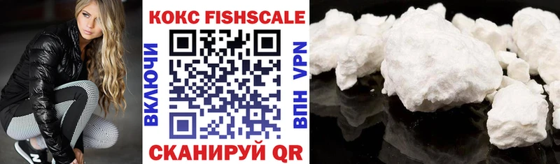 COCAIN Fish Scale  Дмитриев 