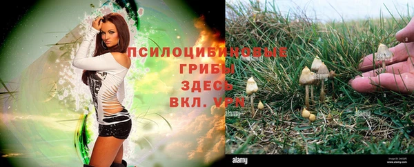 2c-b Алексеевка