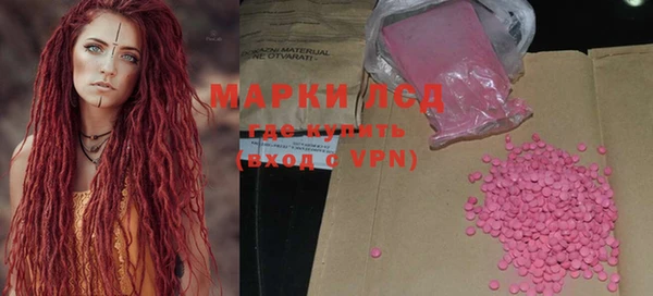 спайс Губаха