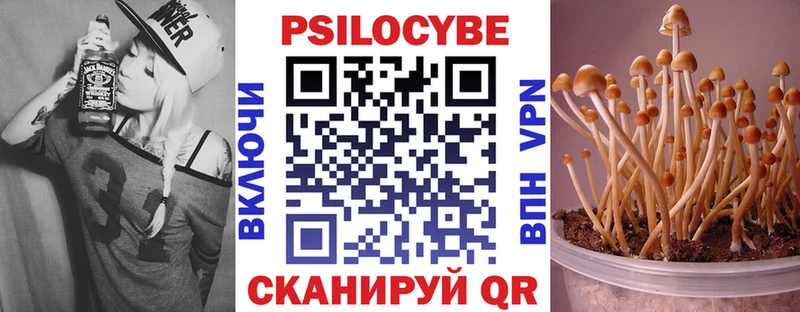 Псилоцибиновые грибы MAGIC MUSHROOMS где можно купить Дмитриев